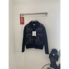 Louis Vuitton Down Jackets